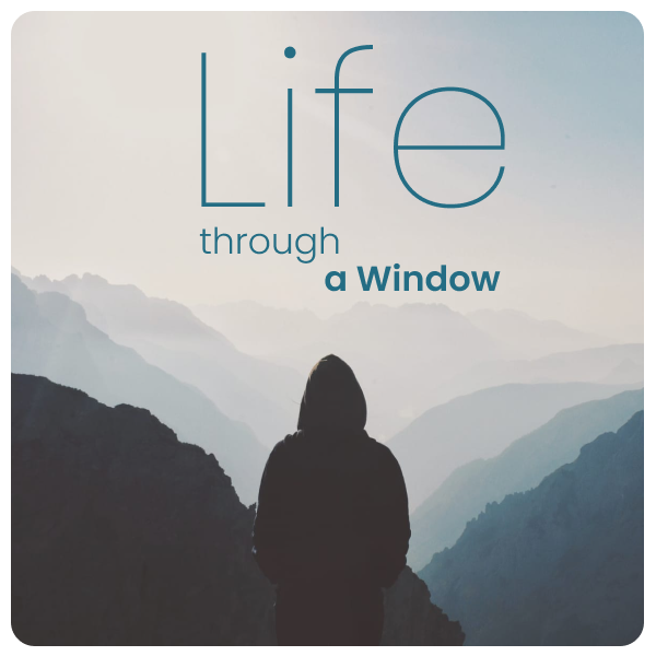 Life Thru a Window